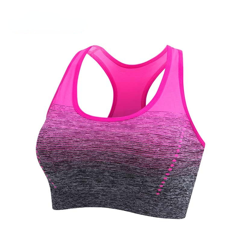 Women Gradient Breathable High Stretch Seamless Fitness Top Padded Sports Bra